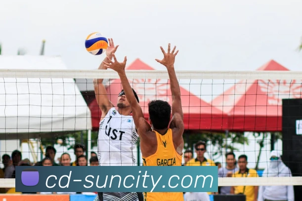 太阳城网站平台生态图