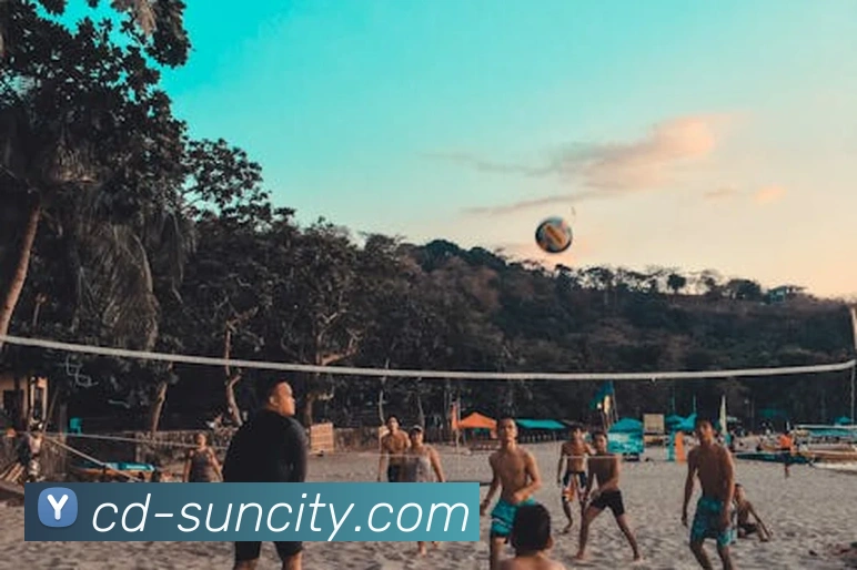 太阳城网站APP 封面图